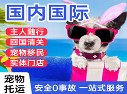 西昌青山国际宠物托运 【国